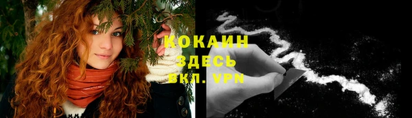 спайс Алексин