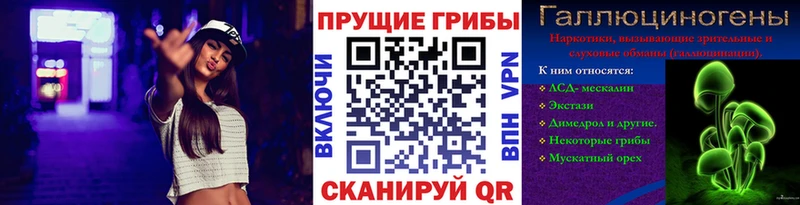 цены наркотик Алапаевск Псилоцибиновые грибы прущие грибы